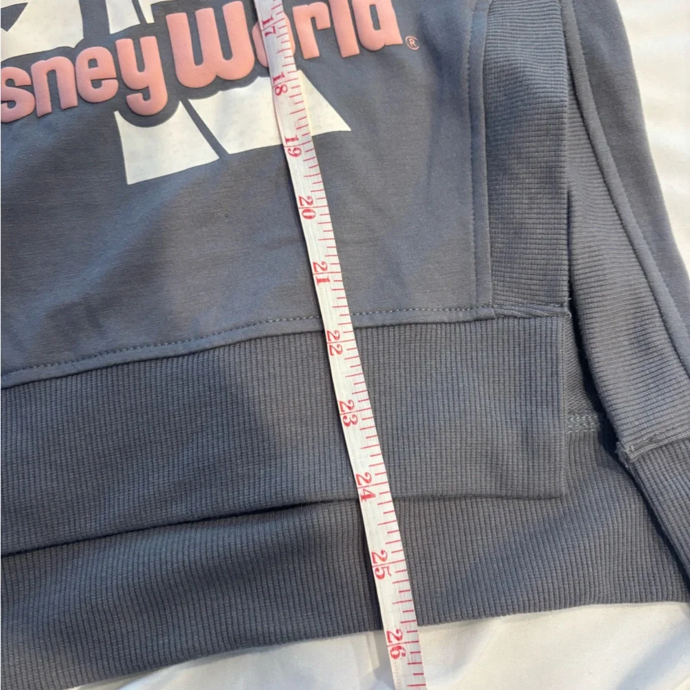 Disney Gray Magic Kingdom Castle Graphic Lightweight Crewneck Sweatshirt - Picture 12 of 12